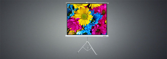 Projection Screen - Tripod Stand